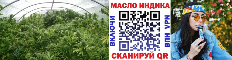 Купить закладки  Моздок  ТГК вейп 