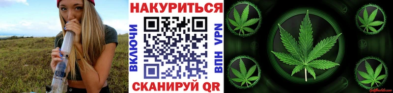 Бошки марихуана LSD WEED  Купить закладки  Моздок 